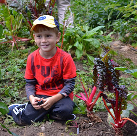 A child sits next to swiss chard in Brooklyn Botanic Garden's Children's Garden.