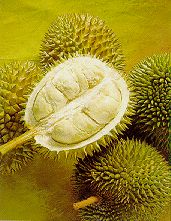 durian