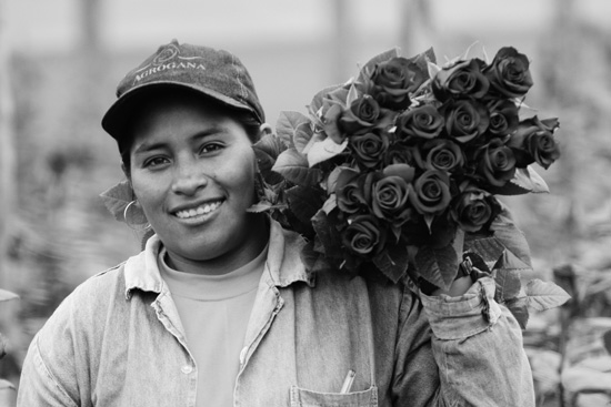 Elvia Almachi, a flower worker in Ecuador, has acquired pigs through a fair trade premium program.
(Photo courtesy of TransFair USA.)