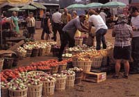 farmers' market