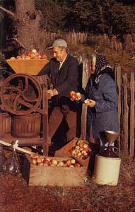 photograph of a sweet older couple at a cider mill