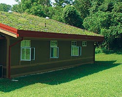 This green roof cools in the winter, absorbs rainwater and extends the lifetime of the roof membrane.