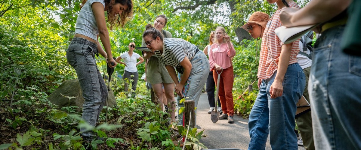 Outdoors in a garden a group of adults watch closely as an instructor turns soil with a spade.
