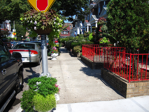The Greenest Blocks in Brooklyn Are in Flatbush and Boerum Hill!