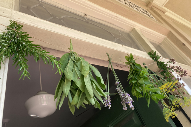 Rosemary, sage, lavender, mint, fennel and oregano hanging from a string.