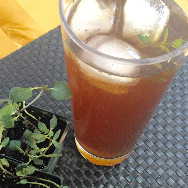 Glass with ice and sun tea next to a mint plant.