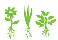 Diverse Plantings