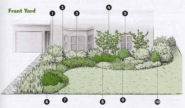 Front yard plan