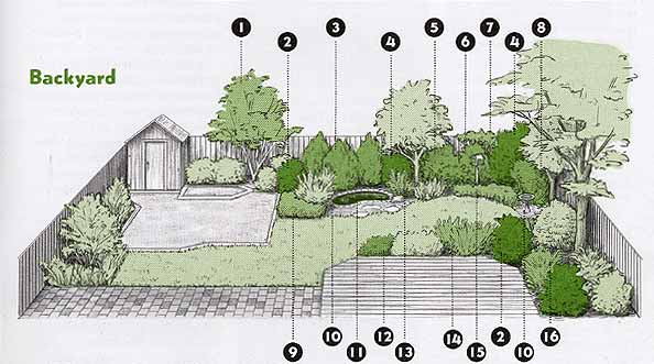 Backyard plan