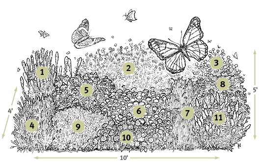 A Fall Butterfly Garden