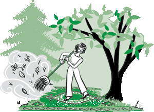 woman sweeping leaves