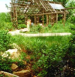 the rain garden designed by Edgar Davis at Temple University's Ambler Campus