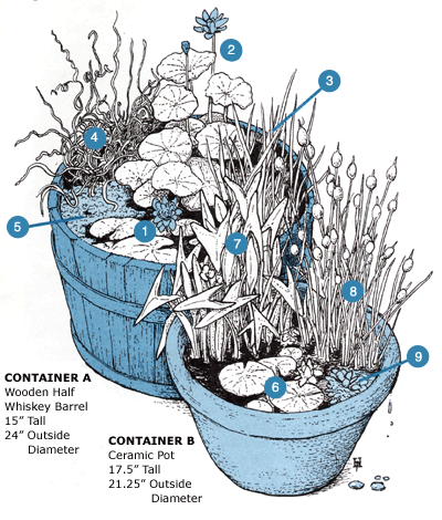 two examples of potted water gardens