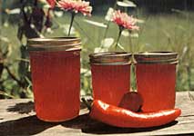 Red chile peppers can be prepared as a sweet and piquant jelly to serve year-round.