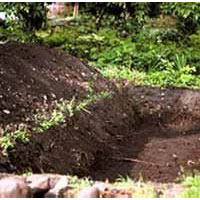 Because small excavations dry out quickly, a bog garden should be as large as possible. Ideally, it should be at least 2-1/2 feet deep.