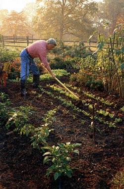 Walter Chandoha in his garden.