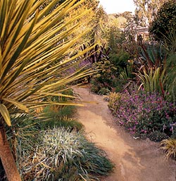 A California Garden Scene