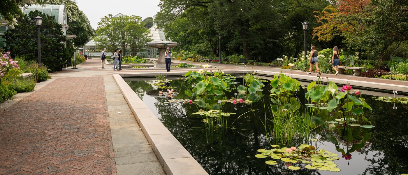 Eng chiroyli tabiiy kokraklar Porno suratlarda keksa odamlar