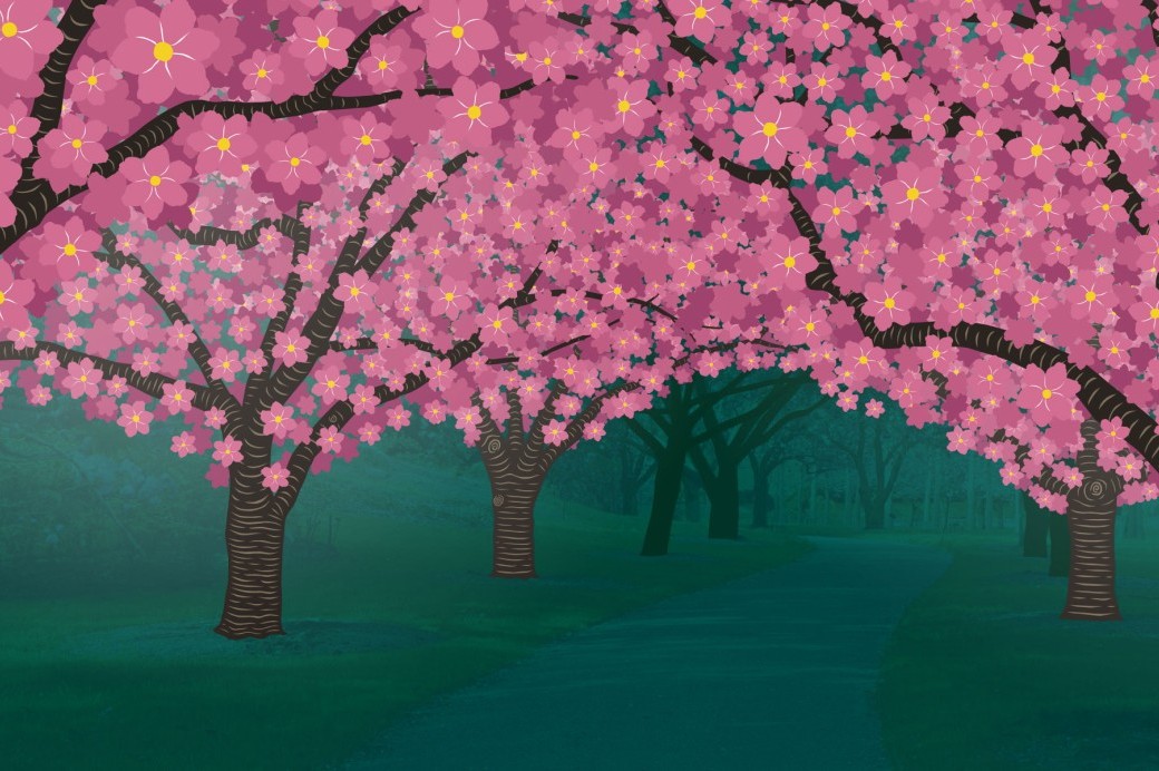 Hanami Nights - Brooklyn Botanic Garden