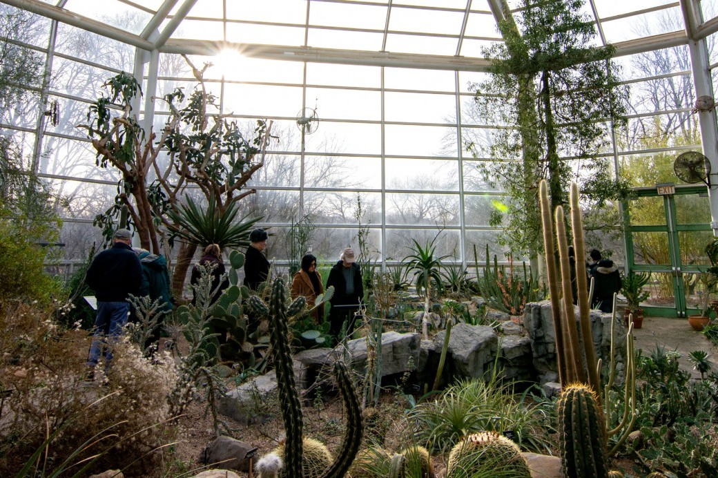 Desert Pavilion at Brooklyn Botanic Garden (Video) - Brooklyn Botanic ...