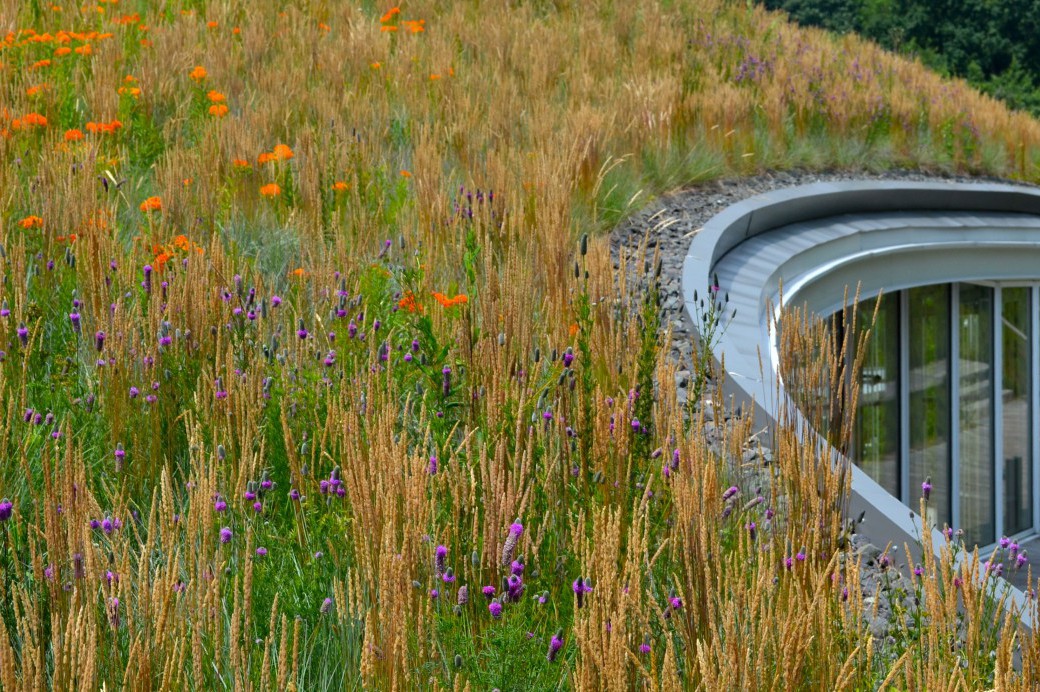 Visitor Center - Brooklyn Botanic Garden