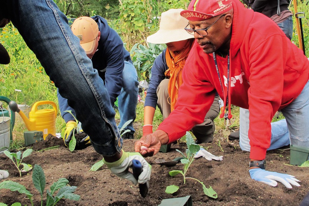 Brooklyn Urban Gardener Certificate Program - Brooklyn Botanic Garden