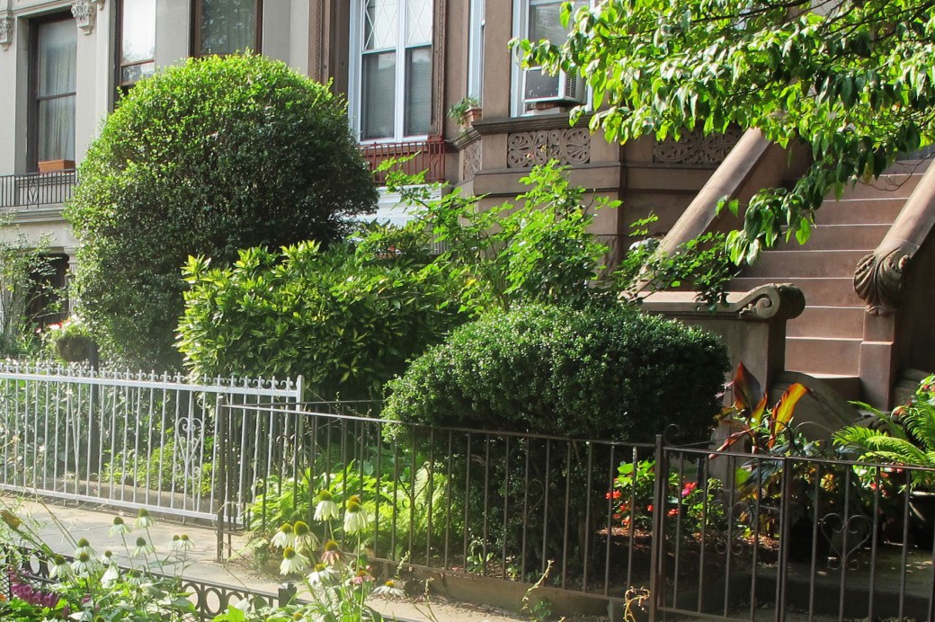 Keep Rats Out of Your Garden - Brooklyn Botanic Garden
