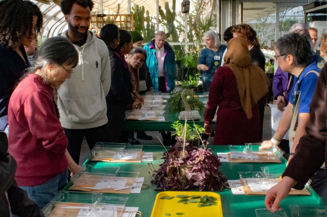Making Brooklyn Bloom 2025 - Brooklyn Botanic Garden