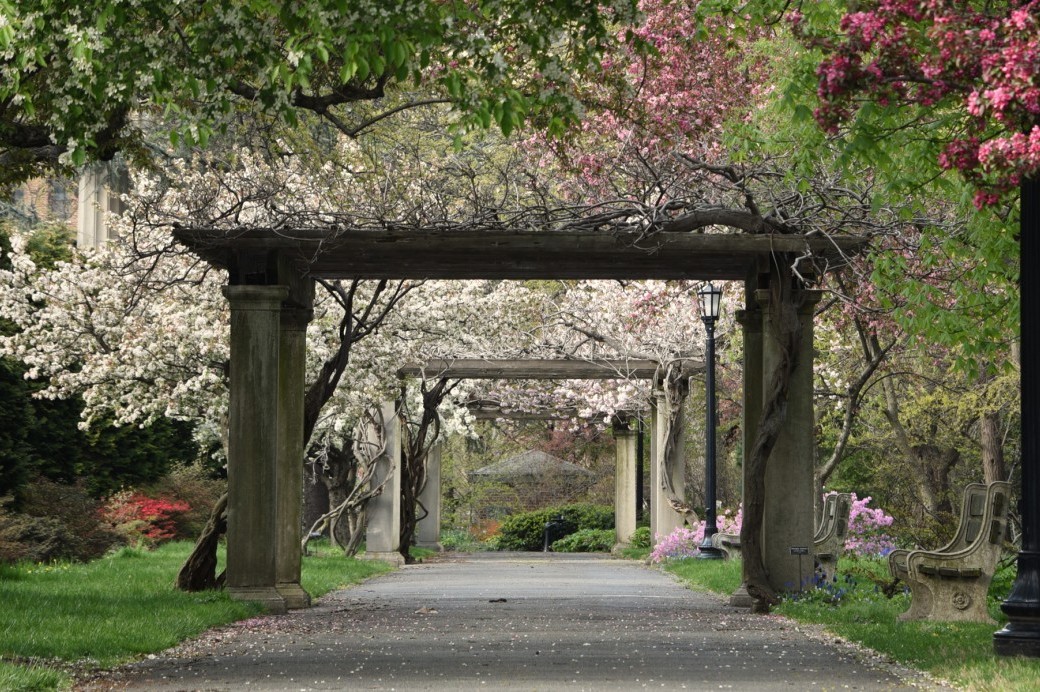 Zoom Backgrounds Brooklyn Botanic Garden