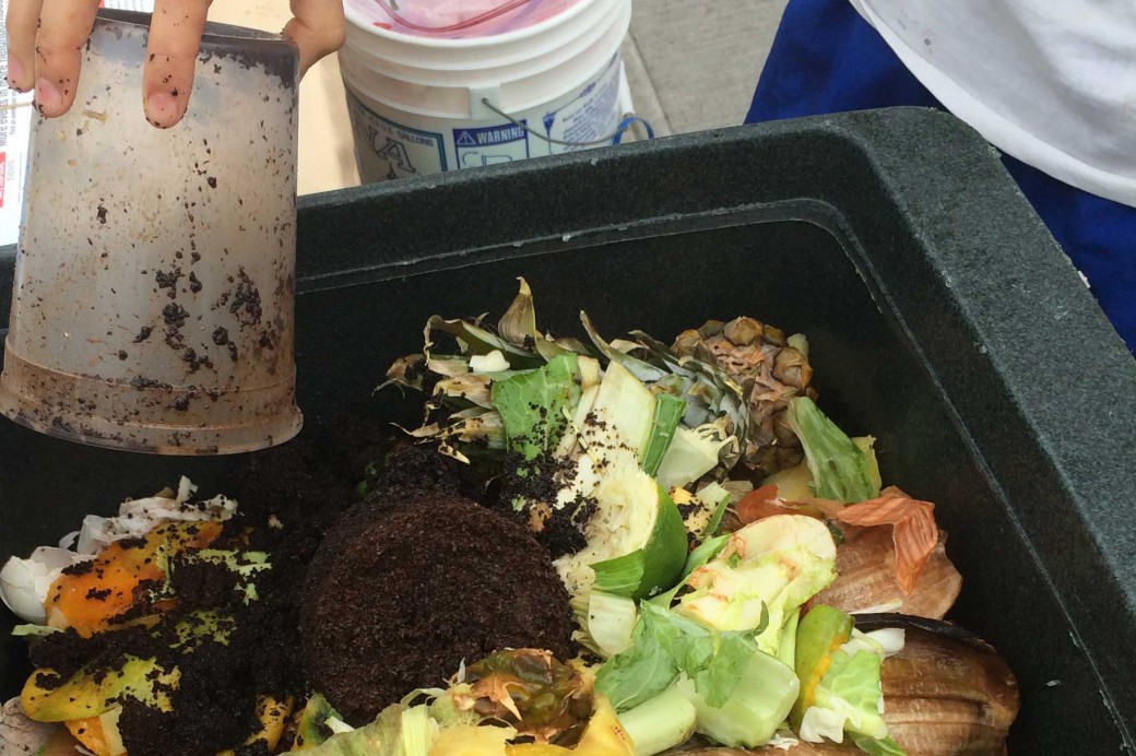 BBG’s Guide to Composting Brooklyn Botanic Garden