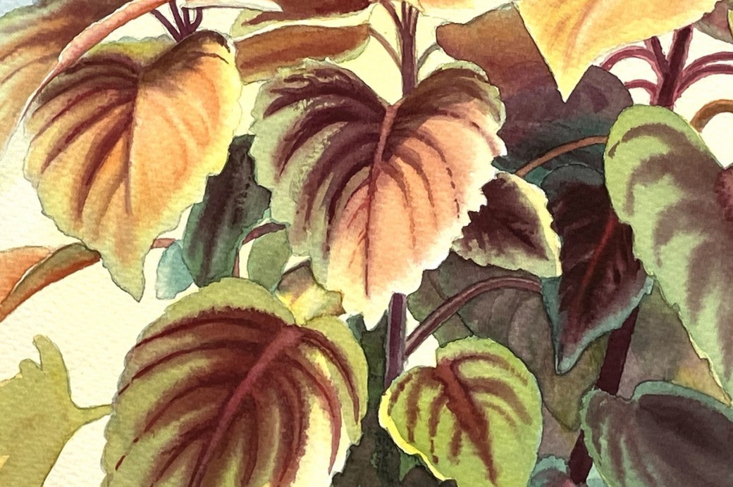 Basic Watercolor Technique Focusing on Plants