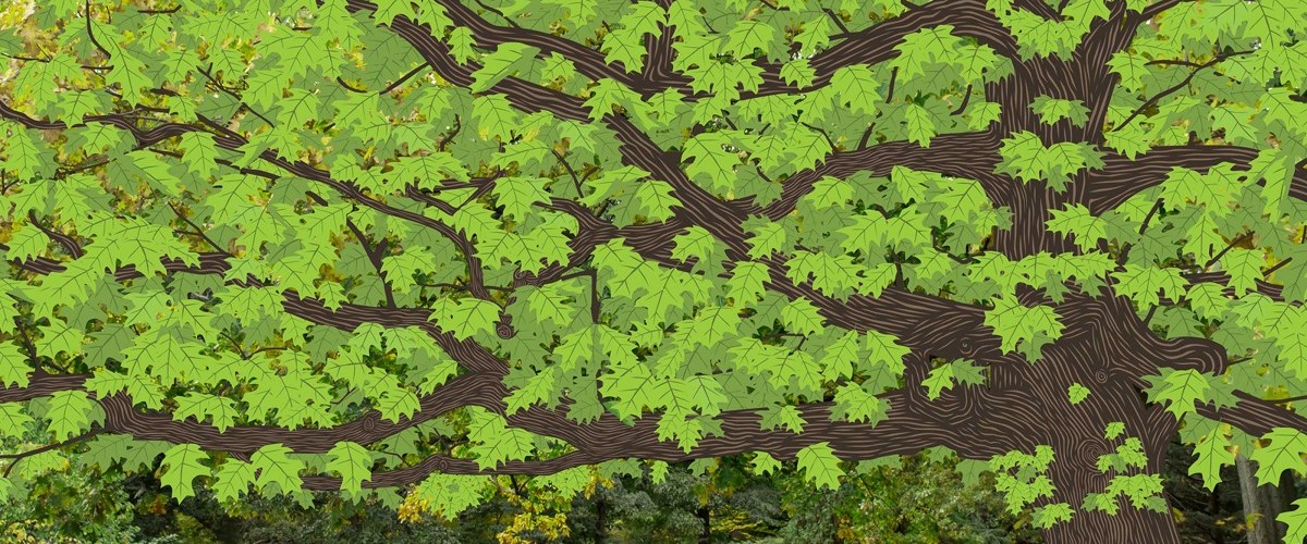 A woodcut-style illustration of a tree with long horizontal branches and hundreds of green leaves