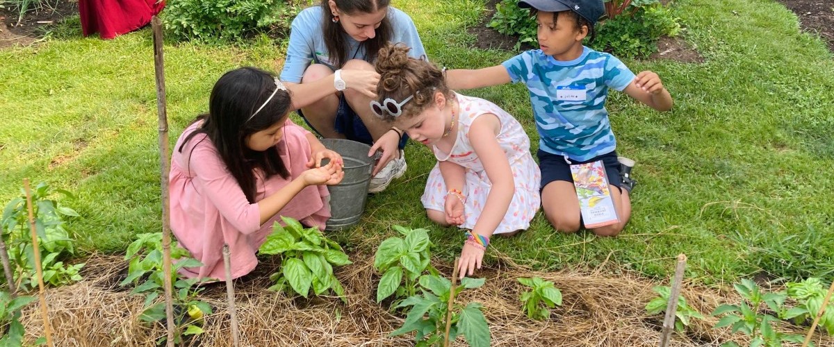 An instructor and three children explore plants in a garden during summer.