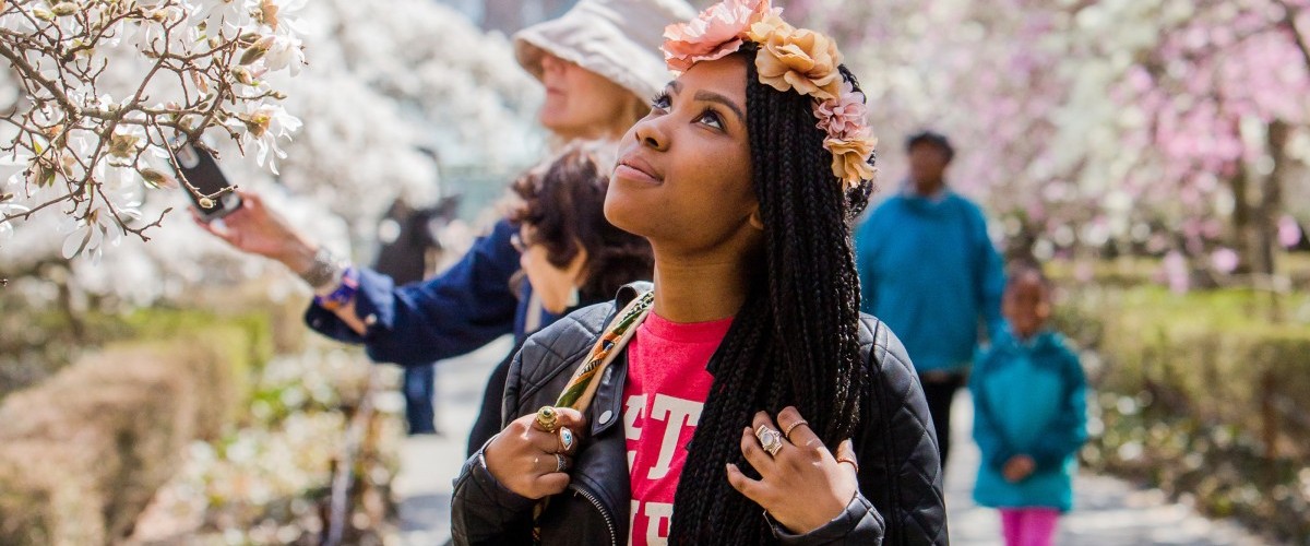 A woman in a jeans jacket gazes up smiling widely at cascades of magnolia blossoms.