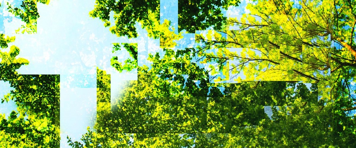 a photo-collage of pixilated trees and sky in odd positions
