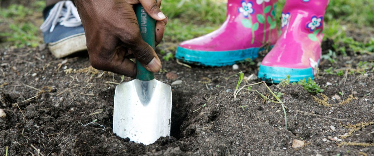 A child's hand digs into soil.