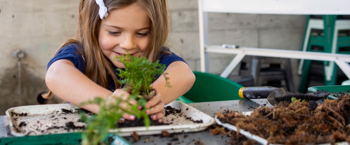 A smiling child pots a green plant at a table outdoors