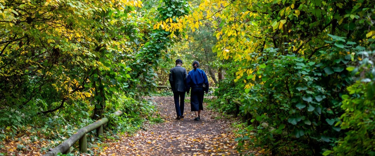 a couple walks down a leaf-strewn path surrounded by trees turning autumn colors