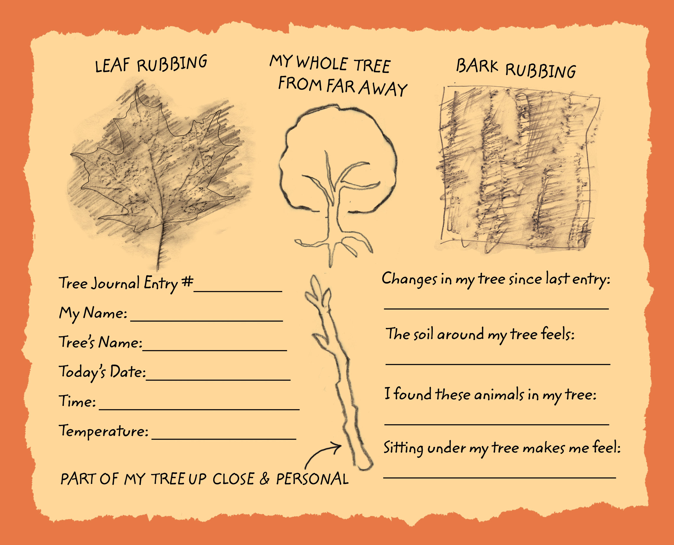 A journal page with rubbings of a leaf and bark