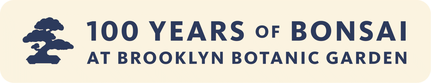 Bonsai Collection Anniversary logo