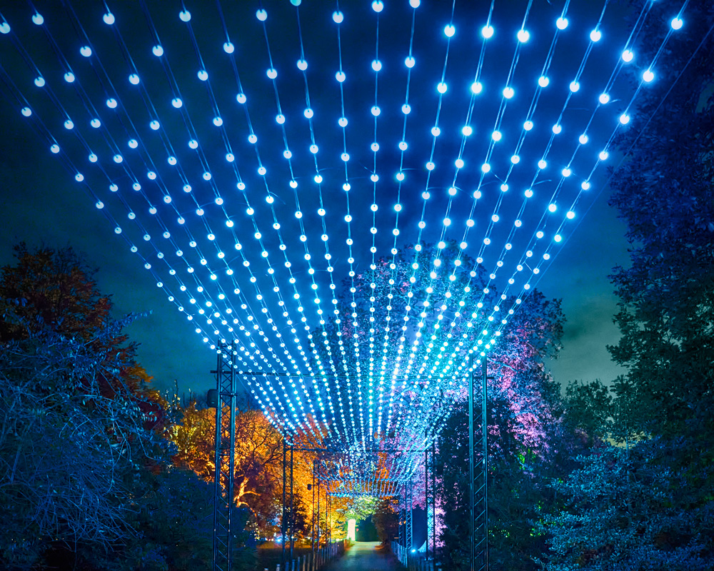 Colored lights shine over a path and illuminated trees.