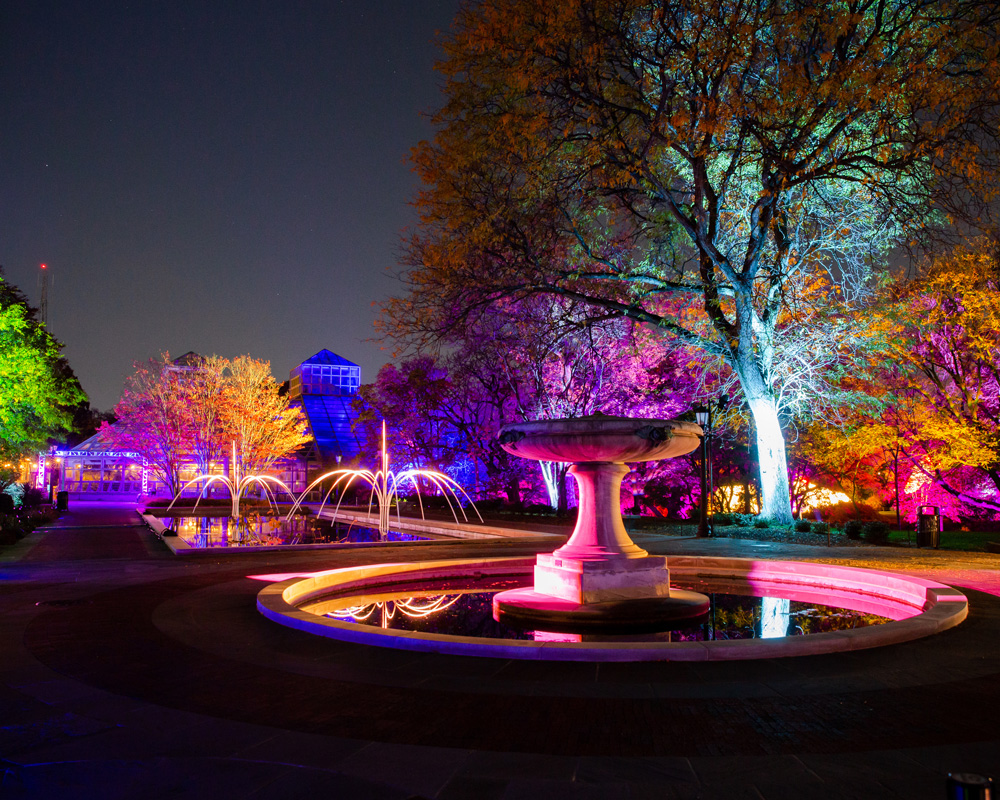 Lightscape Brooklyn Botanic Garden