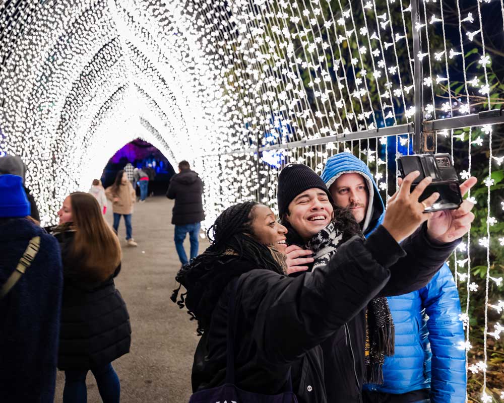 Happy people take photos under a tunnel of tiny white lights.