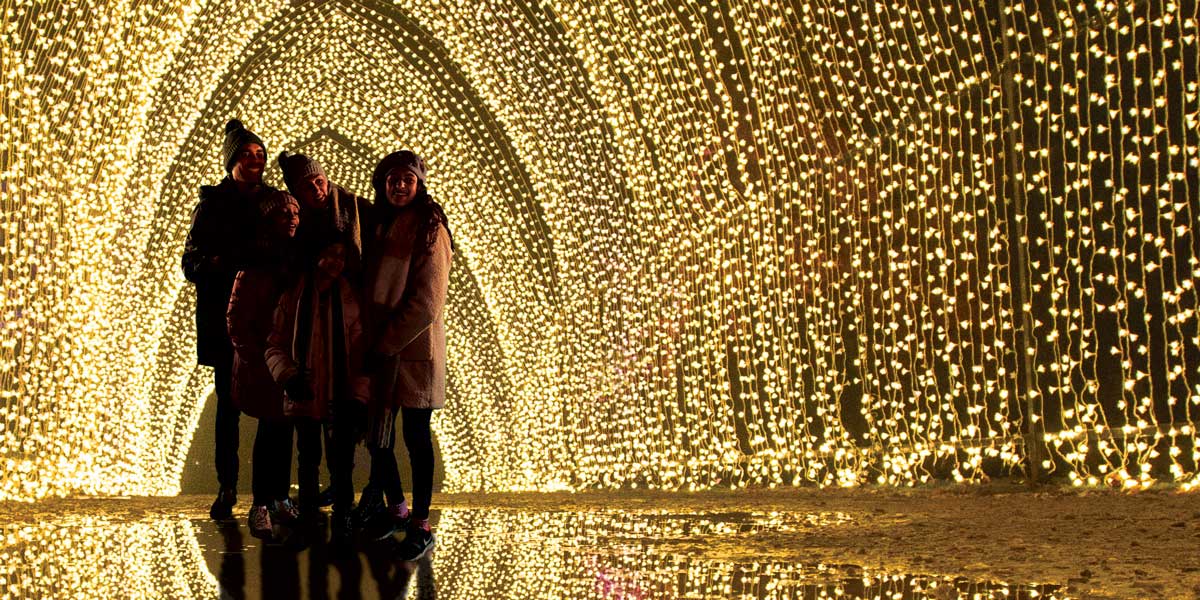 Lightscape - Brooklyn Botanic Garden