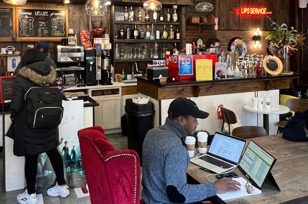 Trees of Little Caribbean Brooklyn Botanic Garden