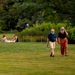 Two couples on a grassy lawn.
